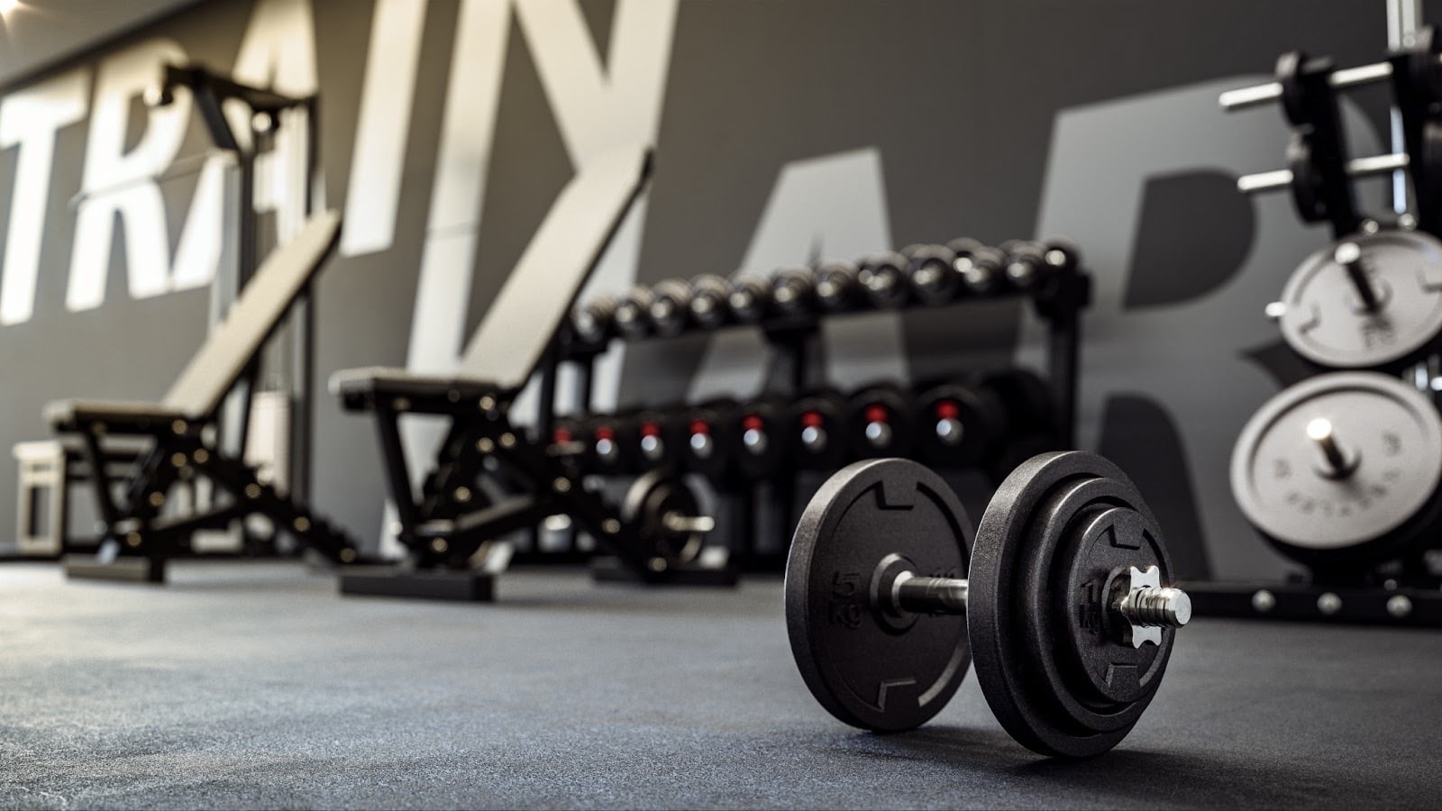 A modern gym interior with a pair of black dumbbells resting on the floor in the foreground, and weight benches, a rack of dumbbells, and weight plates blurred in the background.