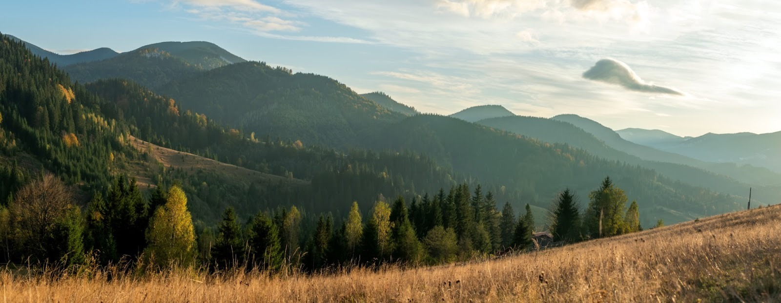 How to Use Temperature and Altitude Training to Give You an Edge